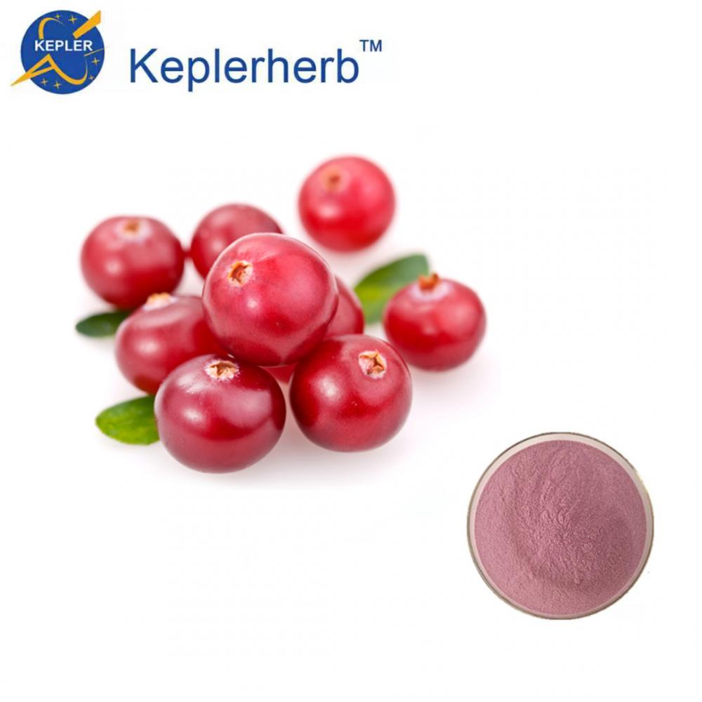 Cranberry extract factory supply