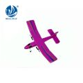 NUOVO prodotto 2.4GHZ 2 canali Mini e LightWeight Design Rc Glider