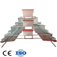 1000 Chicken Layer Cage - Affordable Battery Cages for Poultry