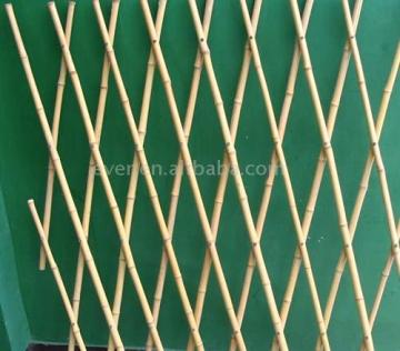 Bamboo Trellis