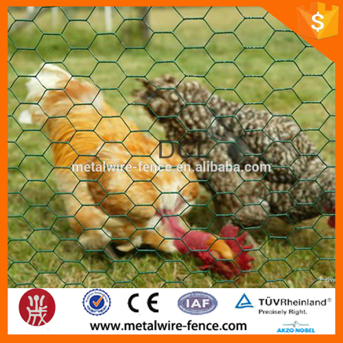 High quality and lowest price Anping hexagonal mesh