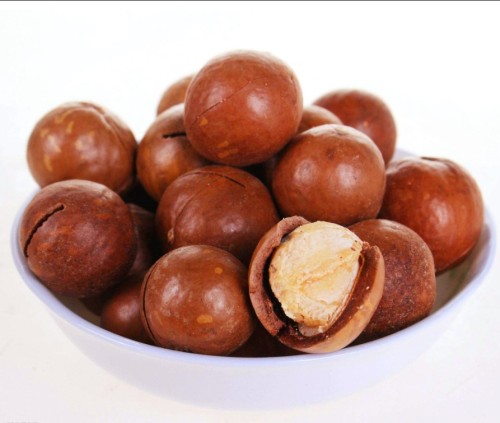 Macadamia nut in shell, wholesale macadamia nuts
