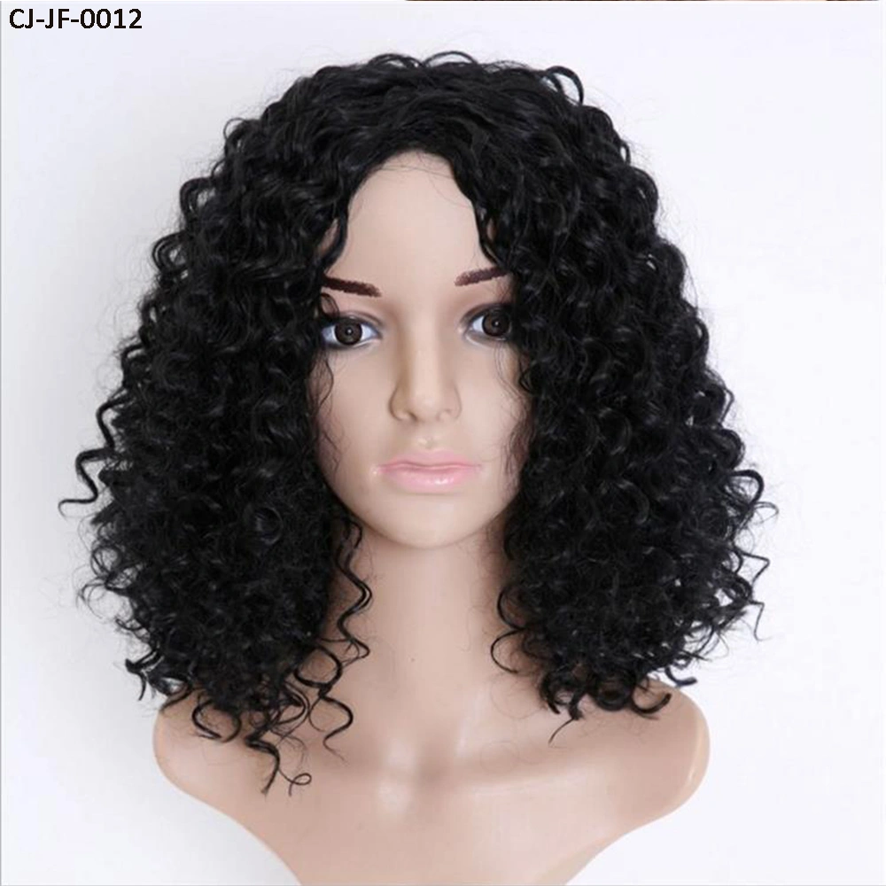 Fancy New Short Curly Hair Chemical Fiber High Temperature Silk Small Roll Afro Wig Cover Human Hair Full Lace Wigs for Women