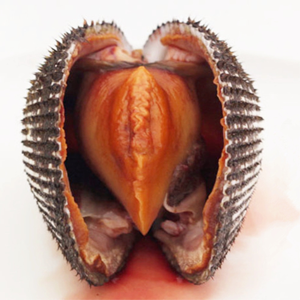 Chińskie lokalne zamrożone małże krew dla kupującego