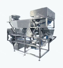 Custom Dates Sorting Machine with Light for Palm Dates Conveyor