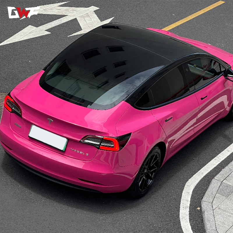 Remolacha púrpura5 Beets Purple5