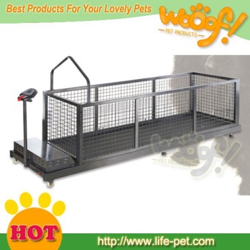 dog fitness treadmill