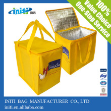 Cooler lunch Bag For Waterbottle Or Wine/lunch bag for office