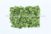 shallot 100% high quality dehydrated shallot 03