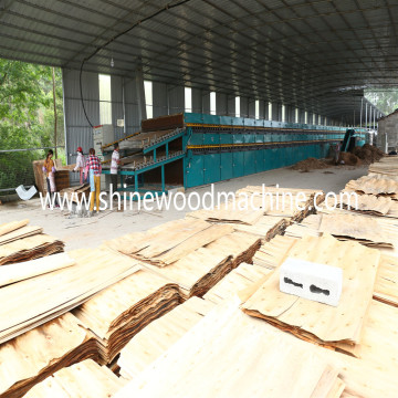 Core Veneer Dryer Assembly