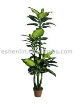 evergreen and durable artificial dieffenbachia tree