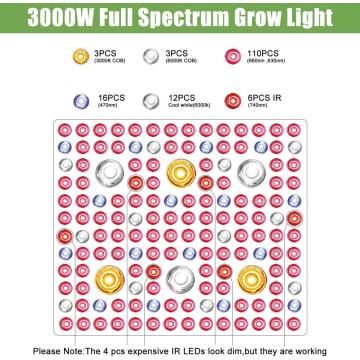 2000 / 3000w 의료용 플랜트 조명