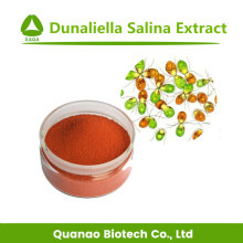 Sal de Algas Dunaliella Salina Extrato Beta Caroteno 1%