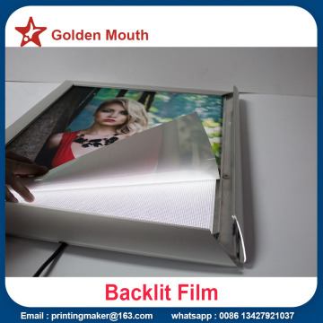 Wall Lighted Picture Poster Frame