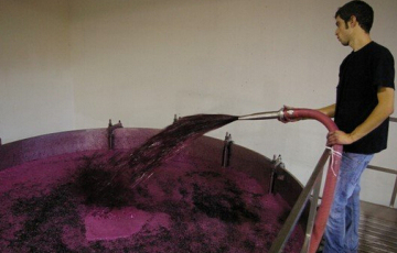 100 liter stainless steel conical fermenter