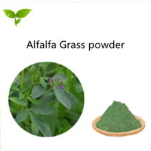 Buy Online Active Ingredients Alfalfa Grass Powder