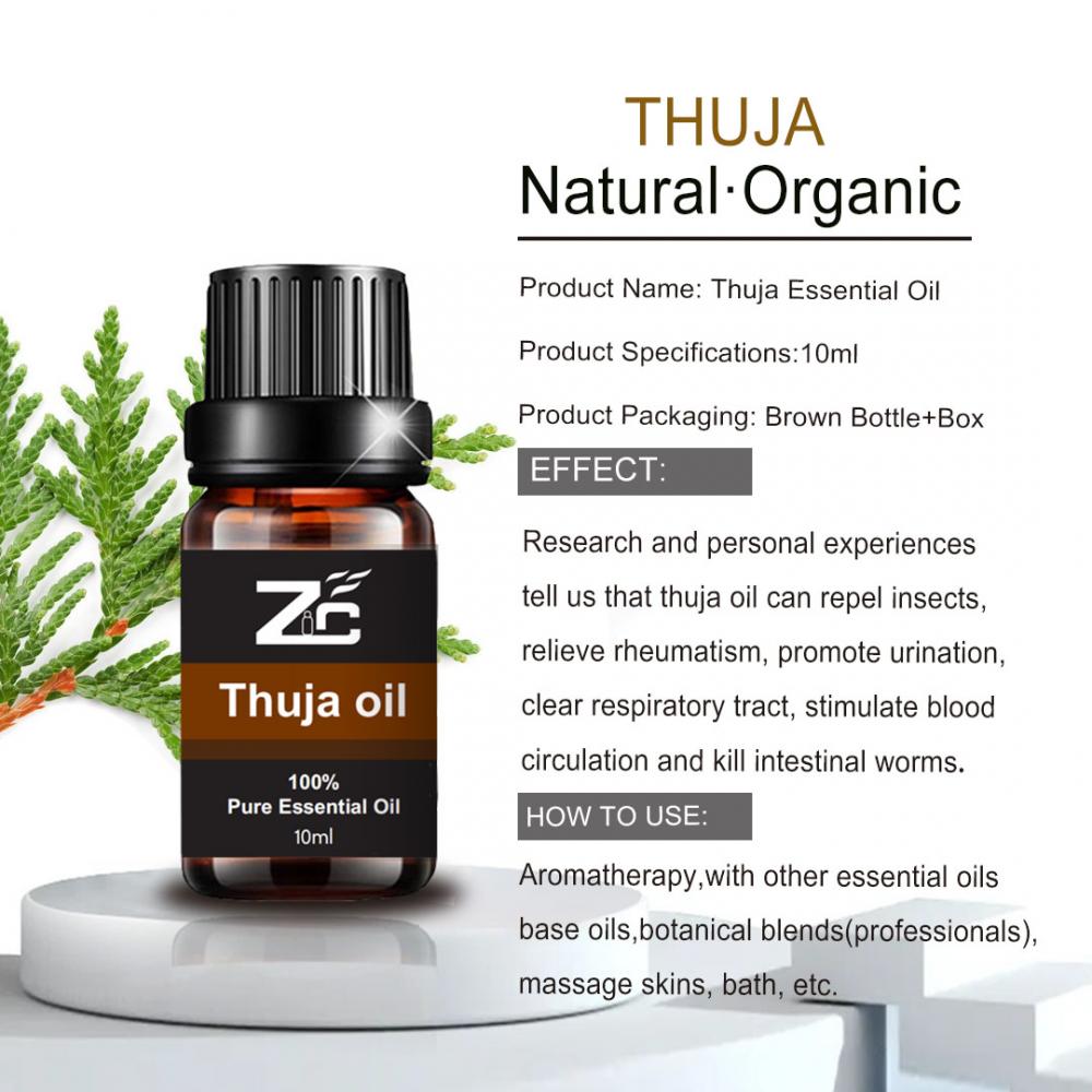 100 ٪ روغن اسانس خالص Thuja پراکنده روغن طبیعی