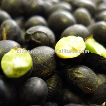 organic black bean(green, yellow kernel)