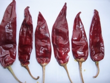 Whole Dried Red Chilli High Quality Indian Dry Red Chilli buyer