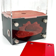 Live Ant Farm for Small Ant Colonies - Natural Learning Toy Gift