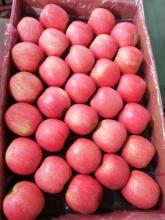 Fresh Apple Good Color Pink Lady