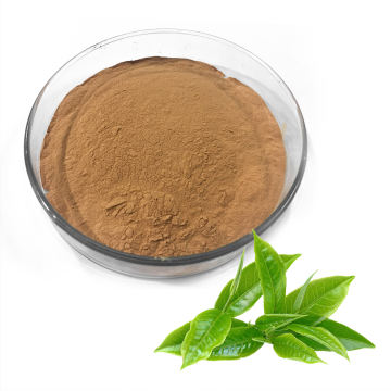 Tea Extract (Polyphenols EGCG)