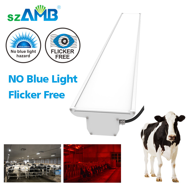 D-Mark approve High Efficiency Flicker Free LED Crown Bulb Light For Poultry Farm