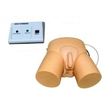 DARHMMY PVC Electronic Medical Science Teaching Practice Model - Catheterization and Enema Training