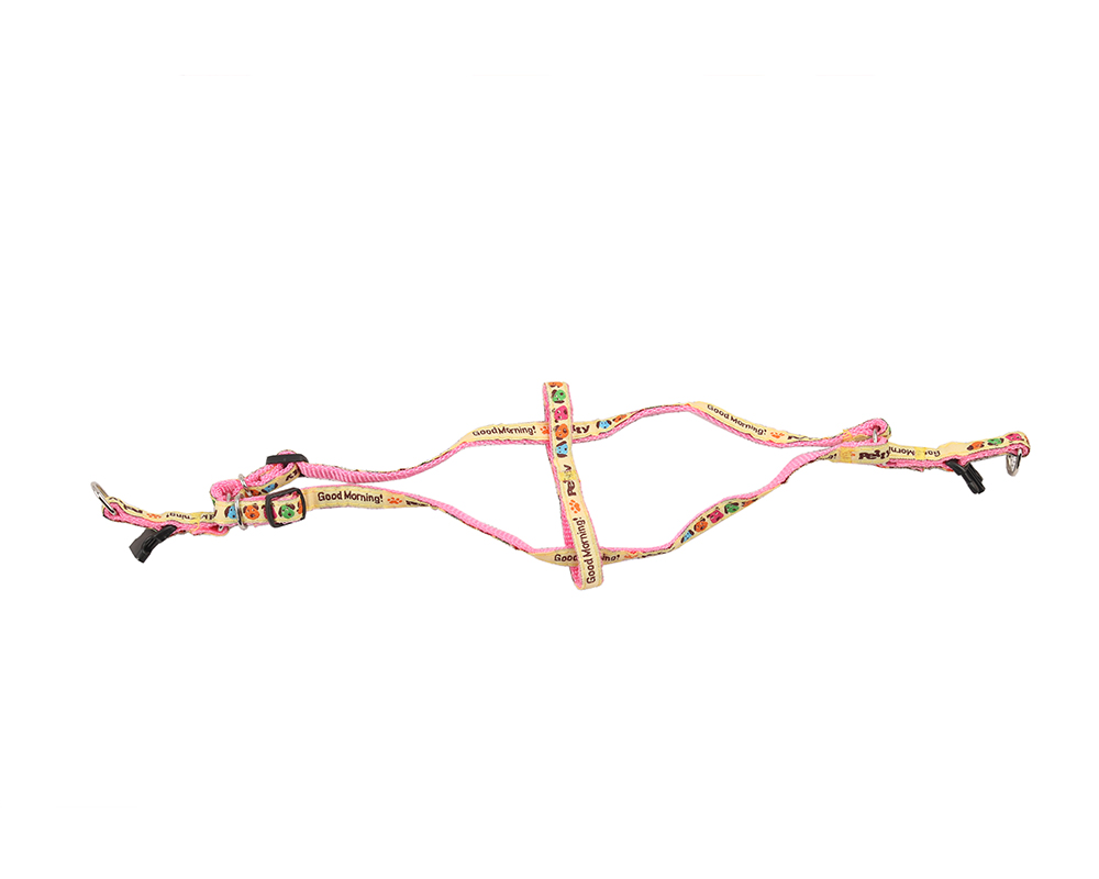 Popolare catena con manico in nylon Popular Nylon Handle Dog Chain