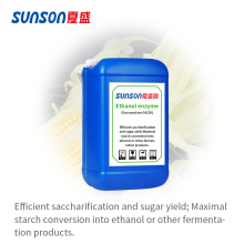 Glucoamylase enzyme for ethanol industry