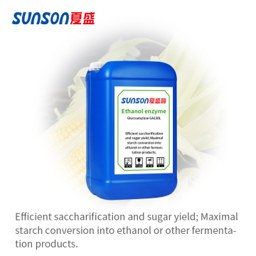 Glucoamylase enzyme for ethanol industry