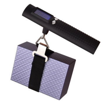 2023 Salter Hanging Scale: Portable Digital Luggage Scale with Power Bank