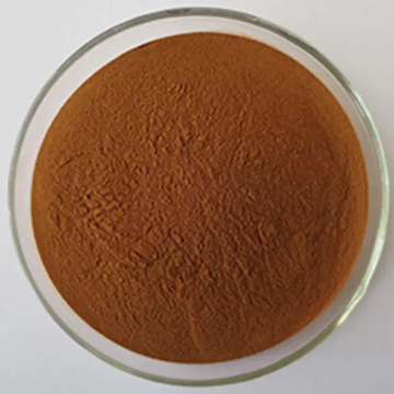 Organic Scholartree Fruits Extracts Raw Materials