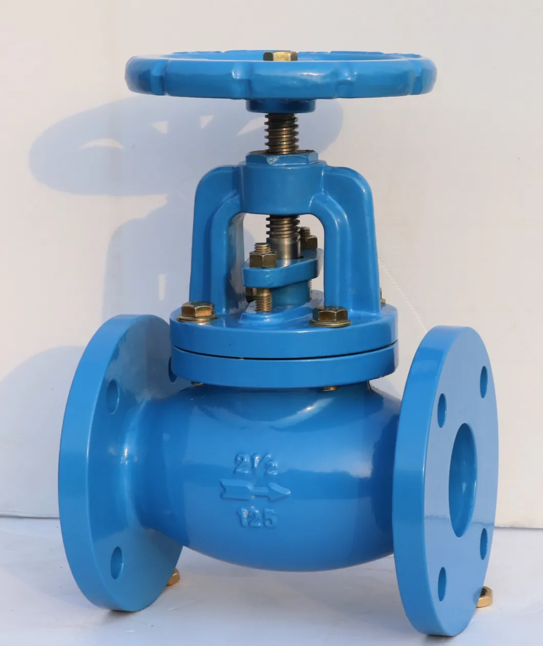 API Cast Iron Flanged Type RF Globe Valve Class125 Valves