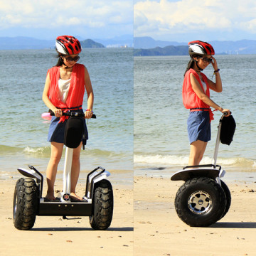 2 Wheel off Road Electric Scooter, Balancing Electric Scooter