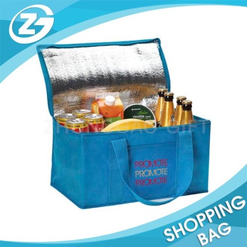 Hot Sell New Design Promotional Custom Ice Bag Supplier