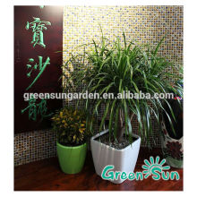 square plastic flower pot liners