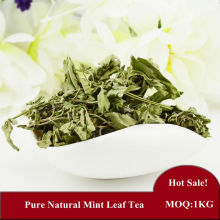 Natural Dried Mint Leaf Tea Improves Your Mood