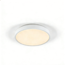 Ceiling-mounted LED light for interiors
