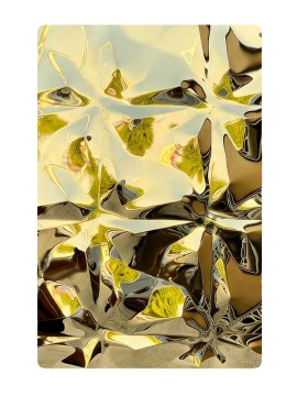 Stainless steel embossed plate 6