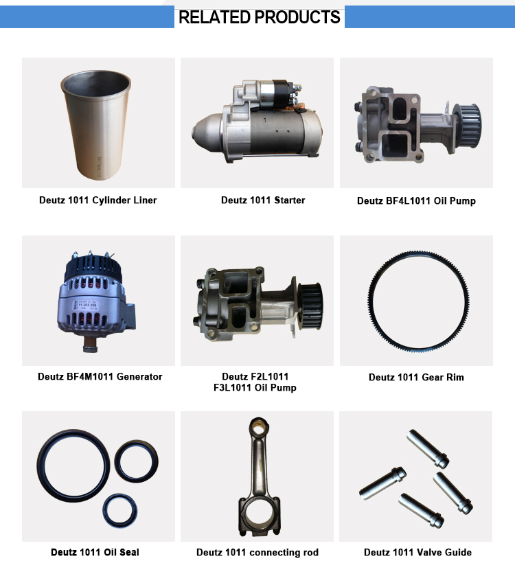 China Manufacture for Deutz Piston and pin FL1011/FM2011 0427 1217/ 0417 9918 / 0427 1211