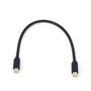 Mini DisplayPort to Mini DisplayPort Cable