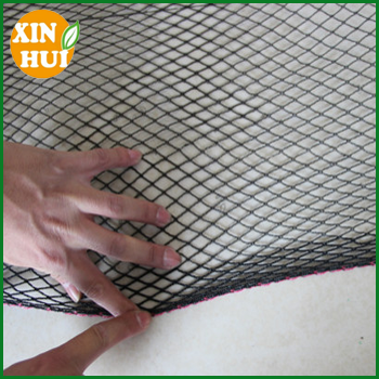 Agriculture Protection Net/anti bird net