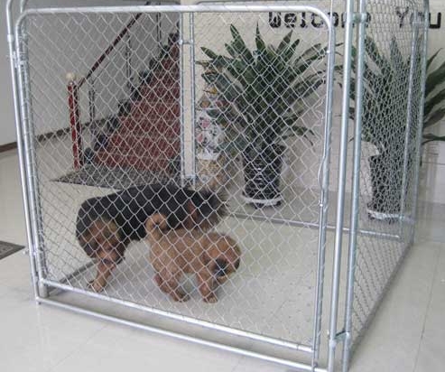 hot sale high quality galvanised dog kennel fence panel china supplier