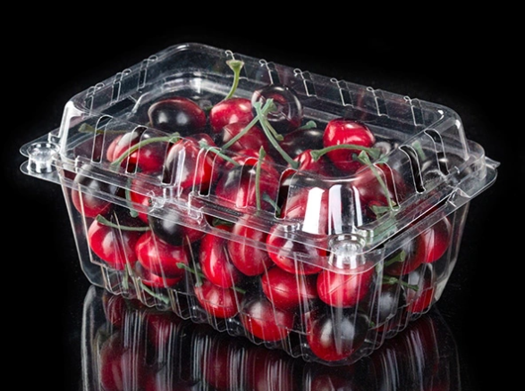 plastic fruit packaging box