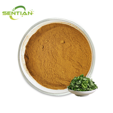 Organic Gynostemma Leaf Supplement