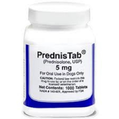 prednisolone 9 mois