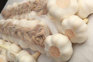 Fresh Braids Garlic 5.5cm Pure White