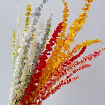 Wholesale Preserved Silver Dollar Leaves for Floral Arrangements