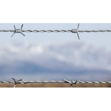 pvc coated fence panel with barb wire